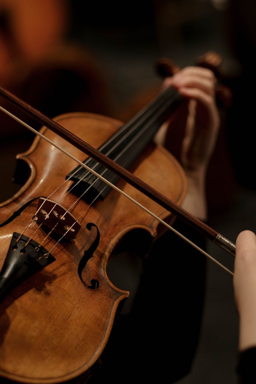 Read more about the article Wedding Violinist Waterloo Park: Nicole and Jay