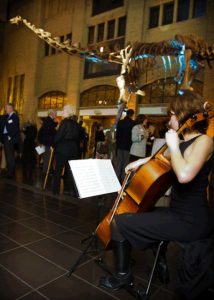 Read more about the article Hire a DJ or string ensemble for a reception?