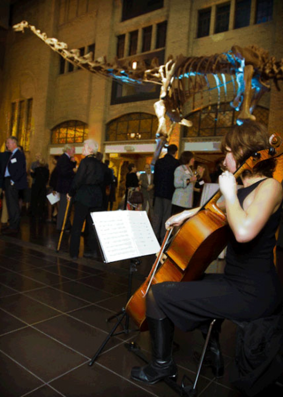 Read more about the article Should I hire a DJ or string ensemble for a cocktail reception?