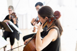 Toronto Wedding String Quartet
Toronto wedding string trio
Toronto wedding duet
Toronto wedding violinist
Toronto wedding cellist ensembles