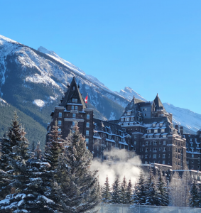 Read more about the article Wedding String Quartet Banff