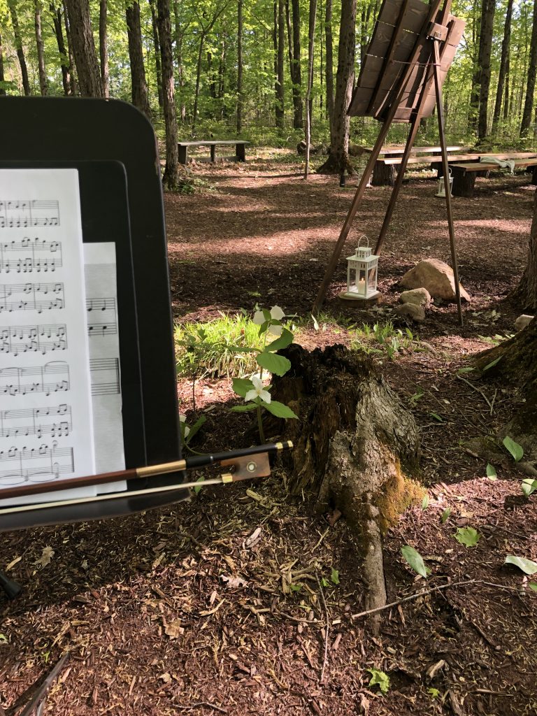 Ottawa Wedding Music violinist cellist: Temple's Sugarbush