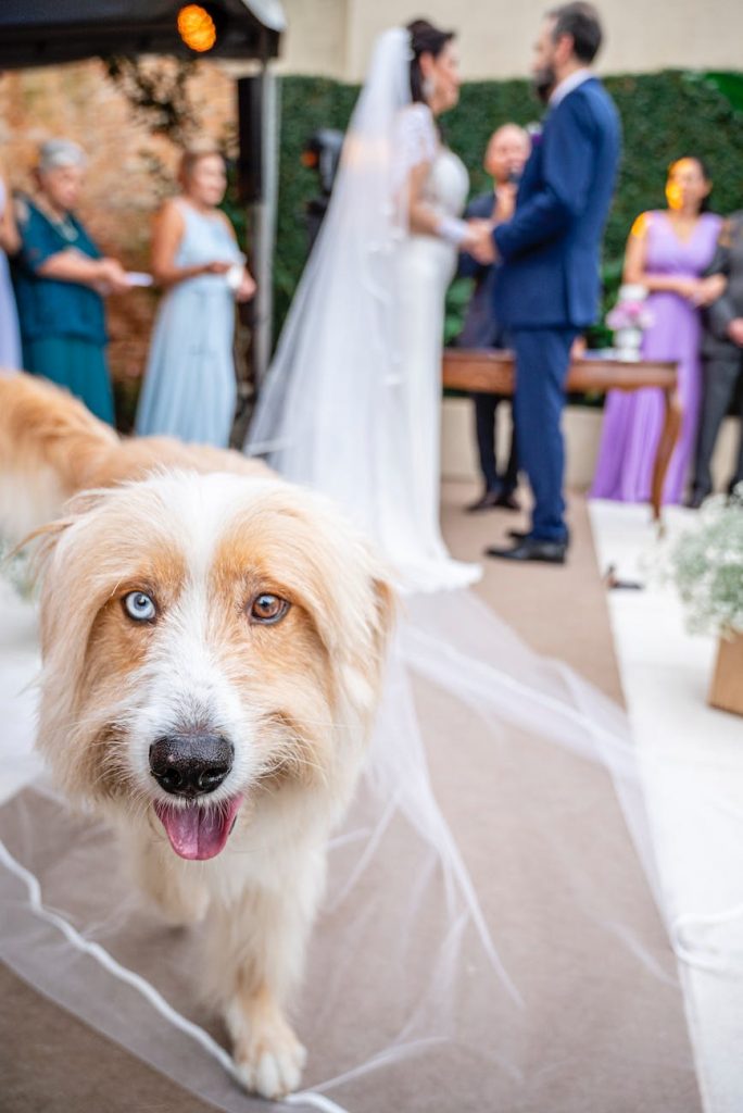 Including Pets in Your Wedding Ceremony